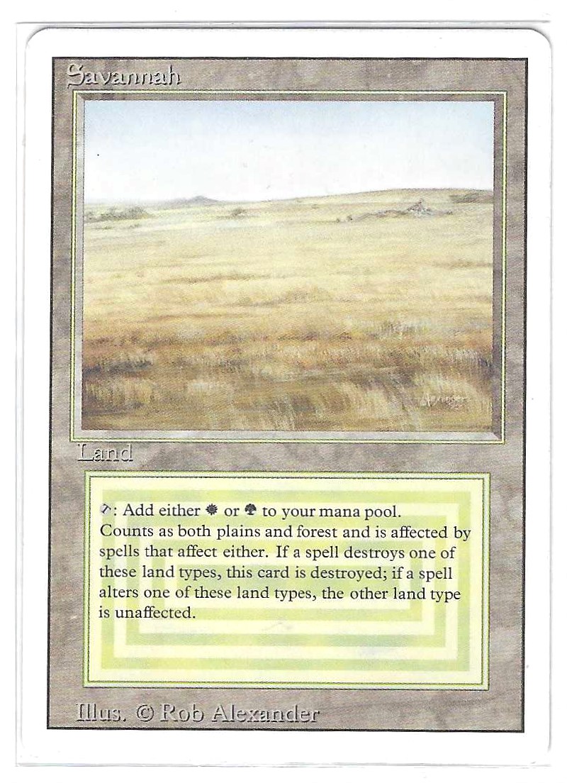 Savannah (#575)